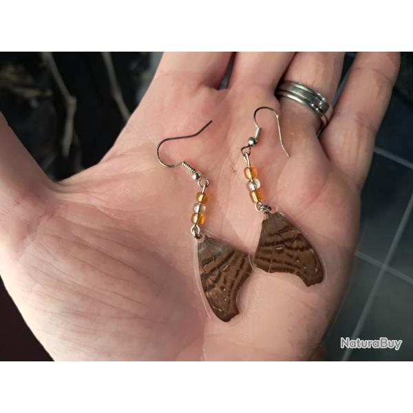Paire de boucles d'oreilles de vraies ailes de papillon #3