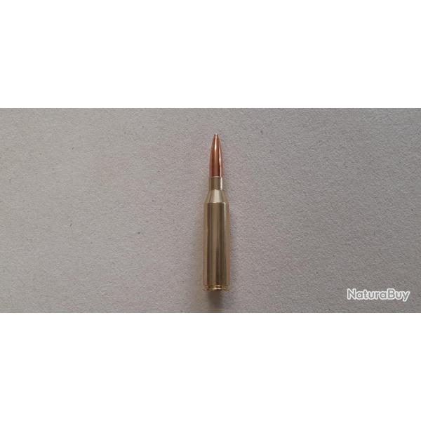 Munition de collection 300 NM - Scenar 220 grs