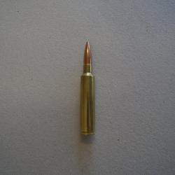 Munition de collection 338 AI - Scenar 250 grs
