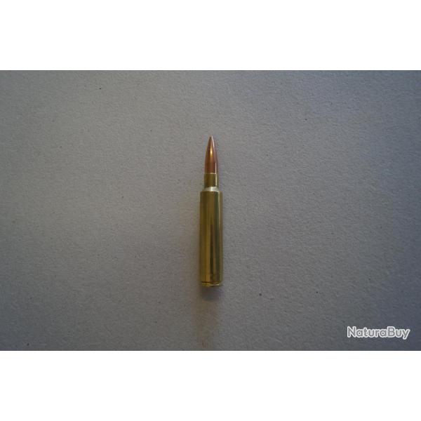 Munition de collection 338 AI - Scenar 250 grs