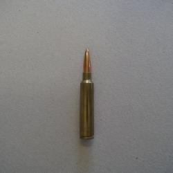 Munition de collection 338 AI - Scenar 300 grs