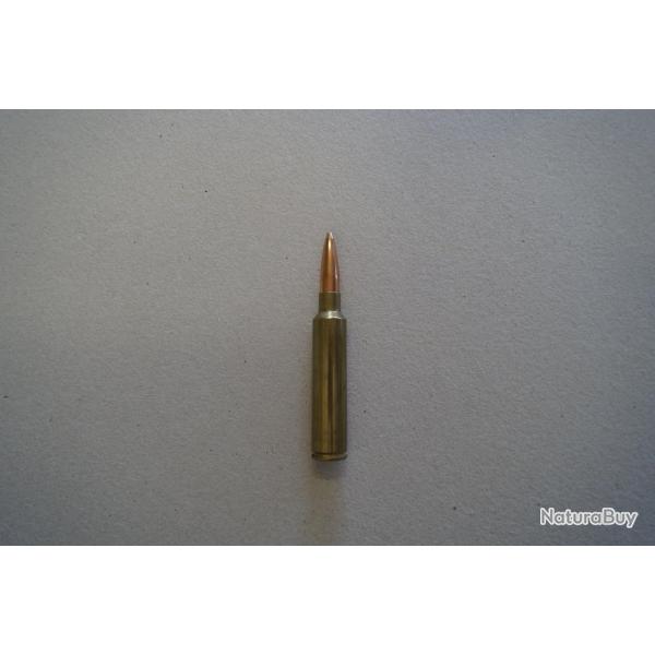 Munition de collection 338 AI - Scenar 300 grs