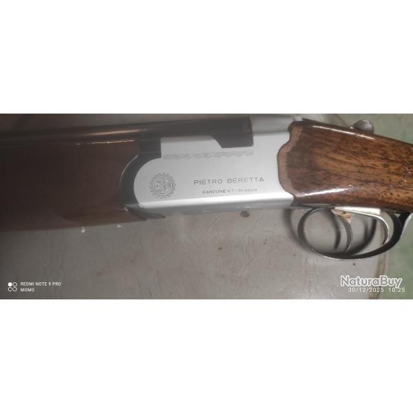 fusil chasse beretta