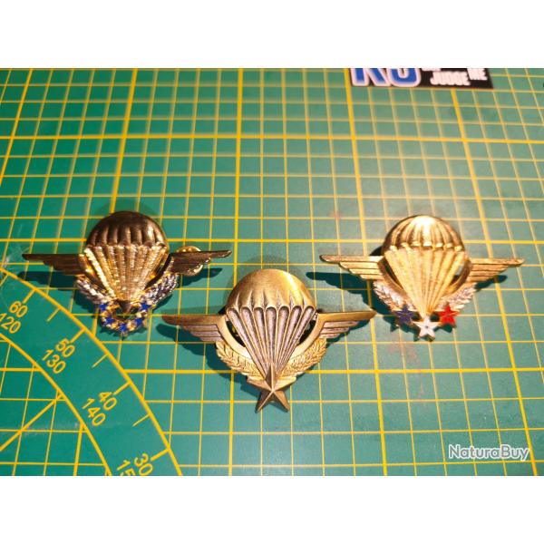 Lot brevet parachutiste fran�ais