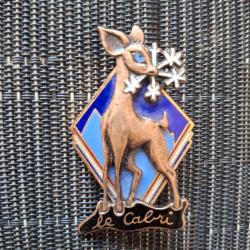 SKI INSIGNE BREVET NIVEAU CABRI VINTAGE ORIGINAL