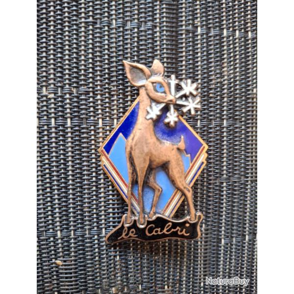 SKI INSIGNE BREVET NIVEAU CABRI VINTAGE ORIGINAL