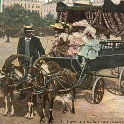 Carte Postale - 1. Lyon La voiture aux ch&egrave;vres, place Bellecour -N&deg;8428