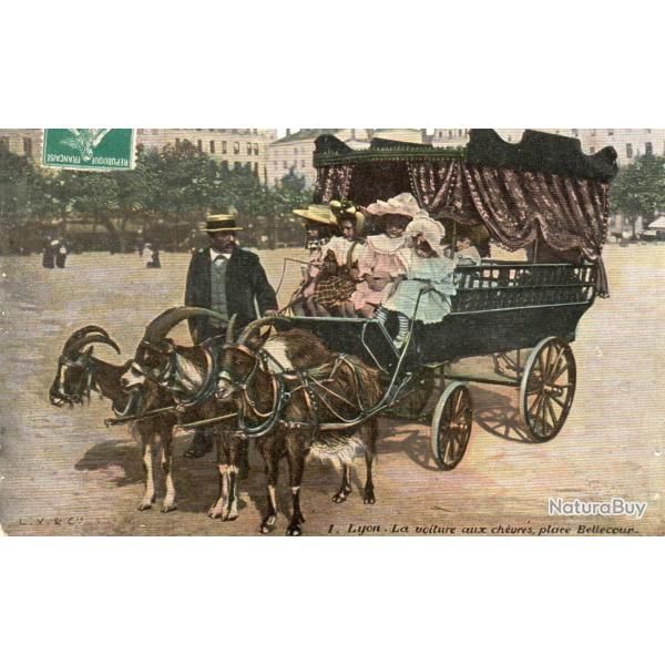 Carte Postale - 1. Lyon La voiture aux ch�vres, place Bellecour -N�8428