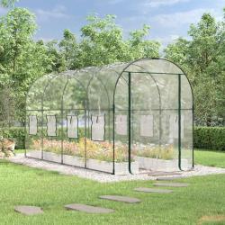 Serre Transparent 160x400x190 cm PVC et acier enduit de poudre