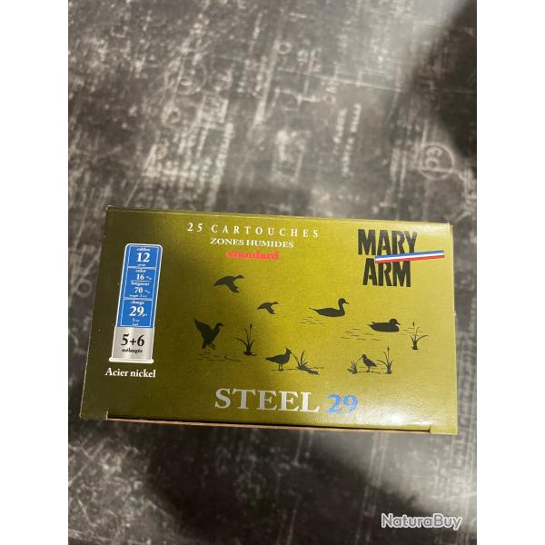 75 Cartouches Mary Arm Steel 29g n�5+6 12/70