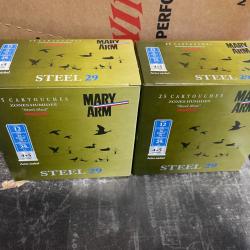 250 Cartouches Mary Arm Steel 29g n&deg;4+5 12/70