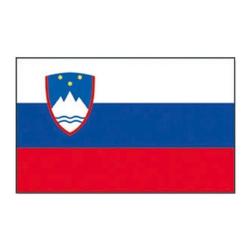 Drapeau Mil-Tec Slov&eacute;nie Autre