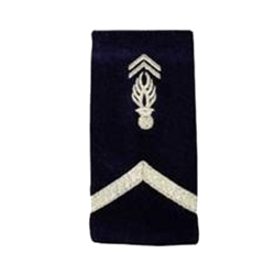 Fourreau Gendarmerie D&eacute;partementale Brod&eacute; Patrol Equipement Noir MDL