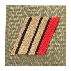 Gilet de poitrine Ares ADT haute visibilit&eacute; Autre Caporal Chef 1&deg;Cl