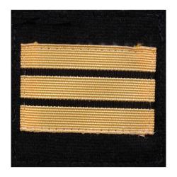 Grade de poitrine Ares Troupe de Marine Autre Capitaine
