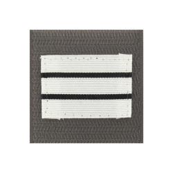 Grade de poitrine Arm&eacute;e de Terre Capitaine Argent