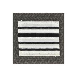 Grade de poitrine Arm&eacute;e de Terre Colonel Argent