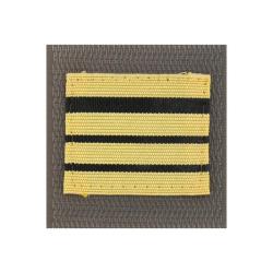 Grade de poitrine Arm&eacute;e de Terre Commandant Or