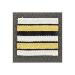 Grade de poitrine Arm&eacute;e de Terre Lieutenant Colonel Argent