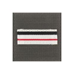 Grade de poitrine Arm&eacute;e de Terre Major Argent