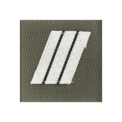 Grade de poitrine Arm&eacute;e de Terre Sergent Chef Argent