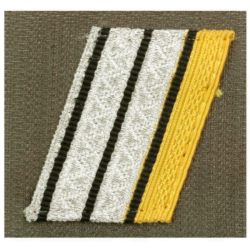 Poitrine Grade Ares Blanc Brigadier Chef 1&deg;Cl