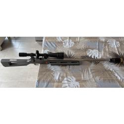 Carabine t66 rimefire benchrest