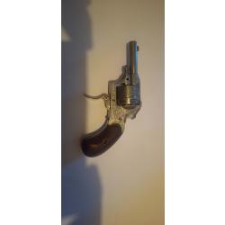 Revolver 22 short