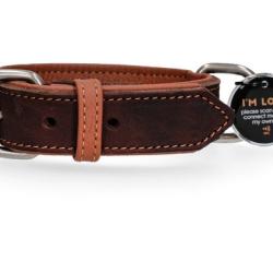 Collier pour chien en cuir de vache sup&eacute;rieur avec m&eacute;daillon num&eacute;rique