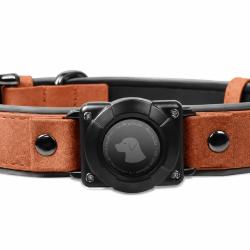 collier r&eacute;fl&eacute;chissant pour chien avec support int&eacute;gr&eacute; pour AirTag