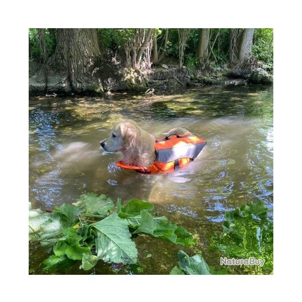 Gilet de sauvetage pour Chien - Orange fluo