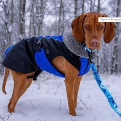 Manteau parka d'hiver - Rocky Mountain Dog ' Glacier '