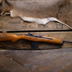 Ruger mini 14 222