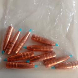 10 ogives calibre 30 (308) sans plomb eXergy TXRG pour essai