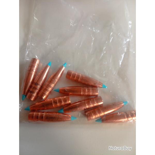 10 ogives calibre 30 (308) sans plomb eXergy TXRG pour essai