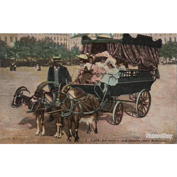 Carte Postale Ancienne - Lyon, La voiture aux ch�vres, Place Bellecour -N�8452