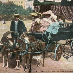 Carte Postale Ancienne - Lyon, La voiture aux ch&egrave;vres, Place Bellecour -N&deg;8453