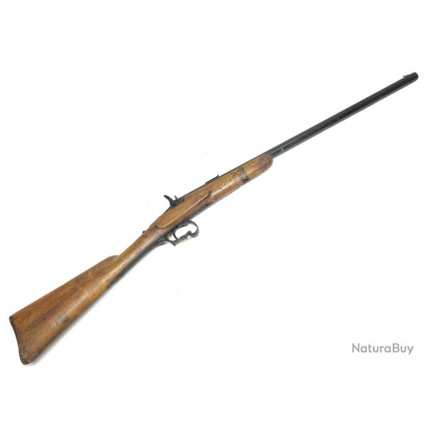 Petite carabine de jardin calibre 22 short