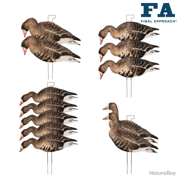 Formes de 12 silhouettes d'oie rieuse (PRECOMMANDE) - FINAL APPROACH