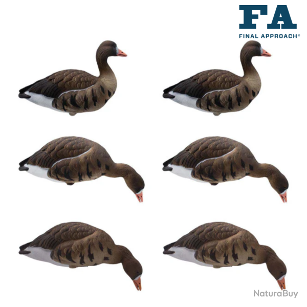 Formes d'oie rieuse sur pattes x6 (PRECOMMANDE) - FINAL APPROACH