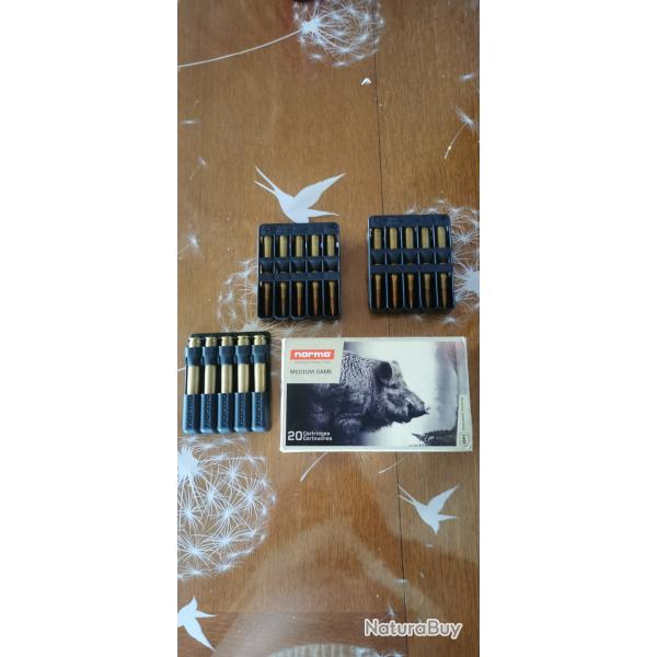 Balle norma 7x64