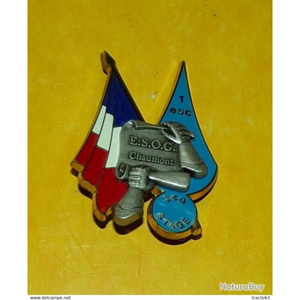 GENDARMERIE� :�ESOG CHAUMONT, 340� Stage - 1� Escadron, FABRICANT DELSART SENS�  , HOMOLOGATION SANS