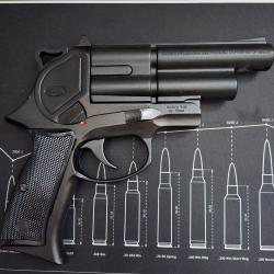 Pistolet Gomm Cogne SAPL GC54 + 50 munitions et accessoires