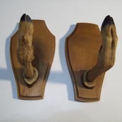 chasse  r&acirc;telier fusil 1 place bois et pieds de chevreuil  art populaire