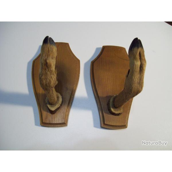 chasse  r�telier fusil 1 place bois et pieds de chevreuil  art populaire