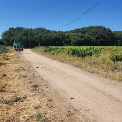 RECHERCHE ACTIONNAIRES - CHASSE AU PETIT GIBIER - MONTFRIN (30490)