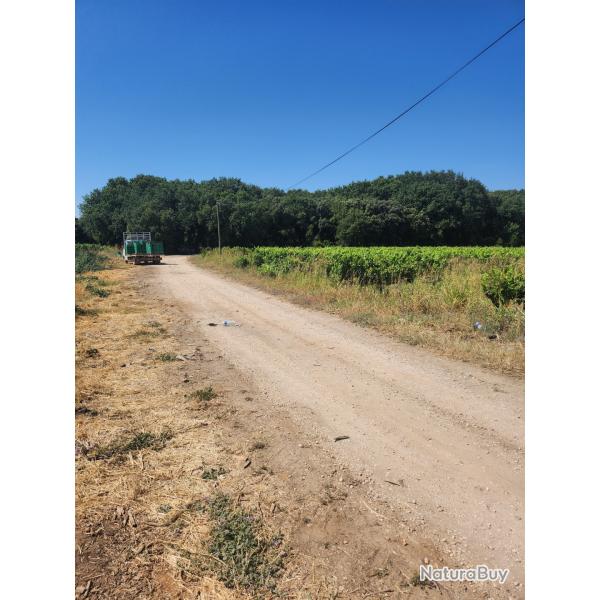 RECHERCHE ACTIONNAIRES - CHASSE AU PETIT GIBIER - MONTFRIN (30490)
