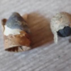 2 ogives anciennes en plomb pour d&eacute;corer vos armes &agrave; poudre noire.
