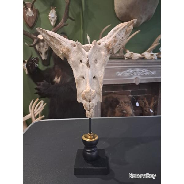 Sacrum de vache sur socle
