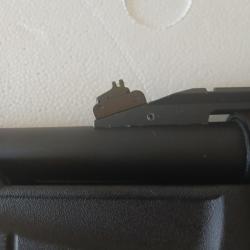 Fusil de chasse Fusil &agrave; pompe de chasse.
